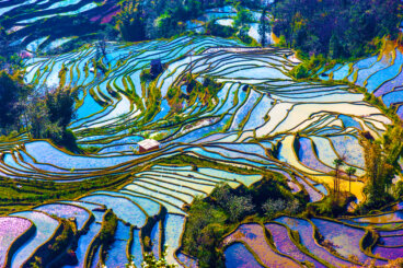 Las increíbles vistas de las terrazas de arroz de Yuanyang en China