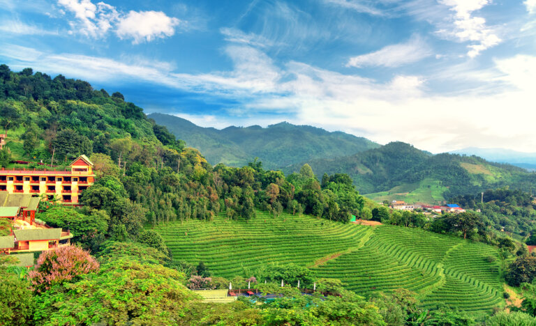 Mae Salong, una sorpresa al norte de Tailandia