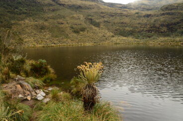 Los mitos de la laguna de Iguaque y la diosa Bachué