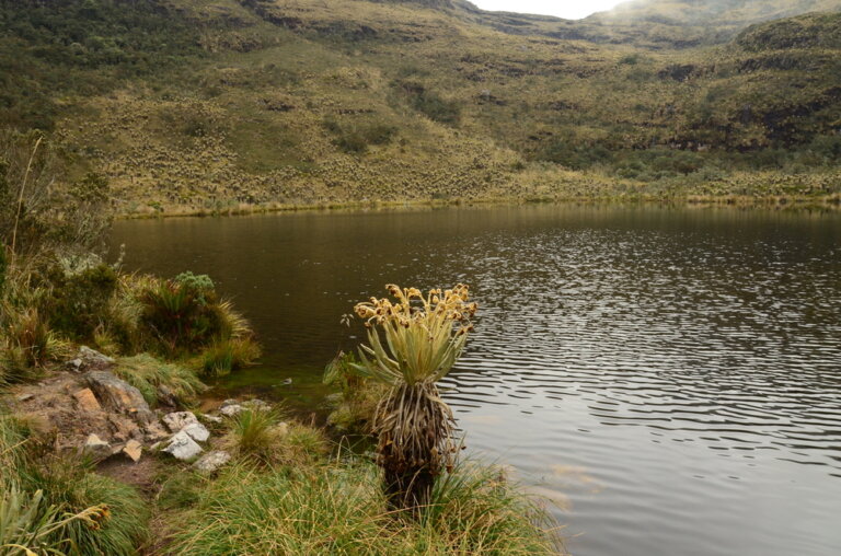 Los mitos de la laguna de Iguaque y la diosa Bachué