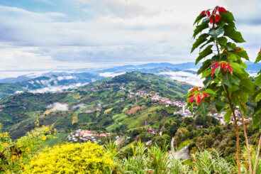 Cómo llegar a Mae Salong, un encantador pueblo tailandés