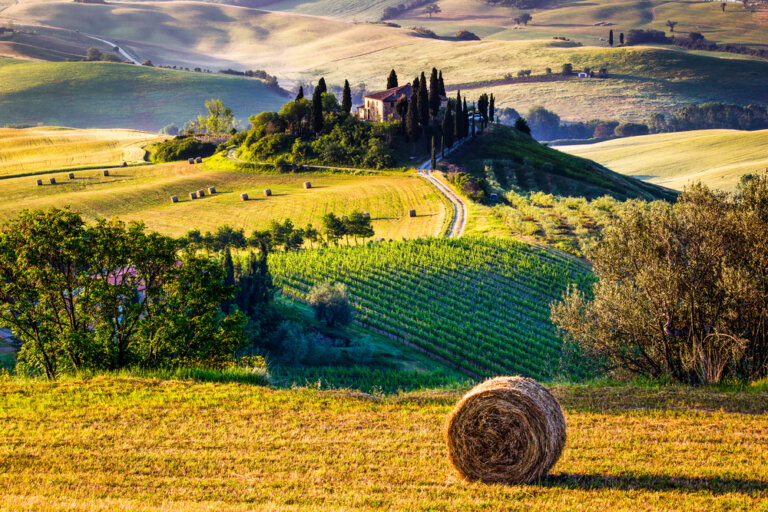 Lugares imprescindibles de la Toscana. ¡No te los pierdas!