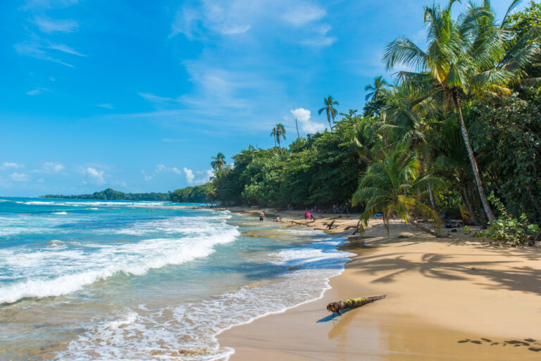 Viajar a Costa Rica: consejos útiles para moverse por el país