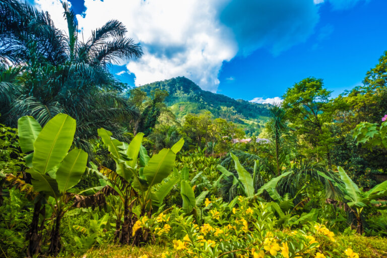 La isla de Madagascar y la práctica del ecoturismo