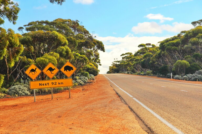 3 razones que te convencerán para visitar Australia