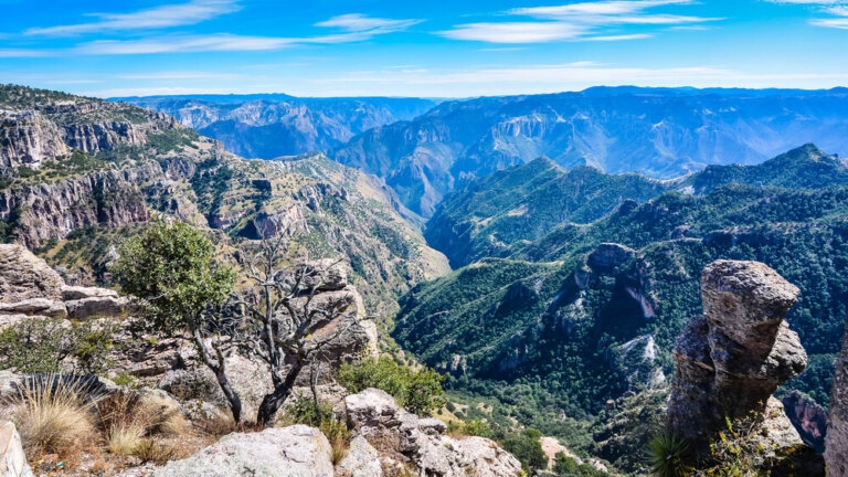 Cómo viajar a las Barrancas del Cobre en México