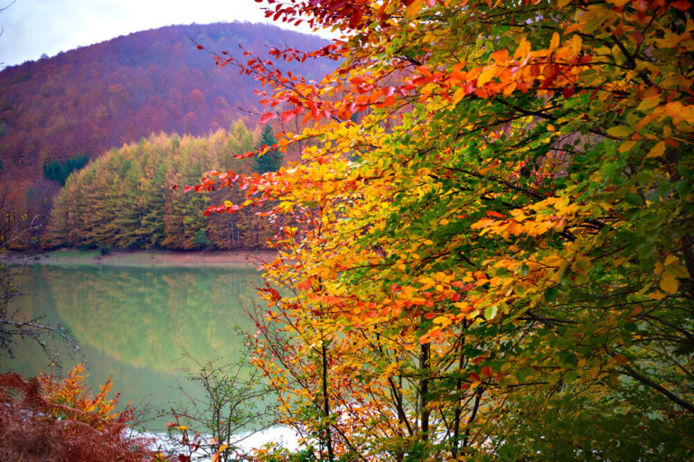 Rutas de senderismo para disfrutar del otoño