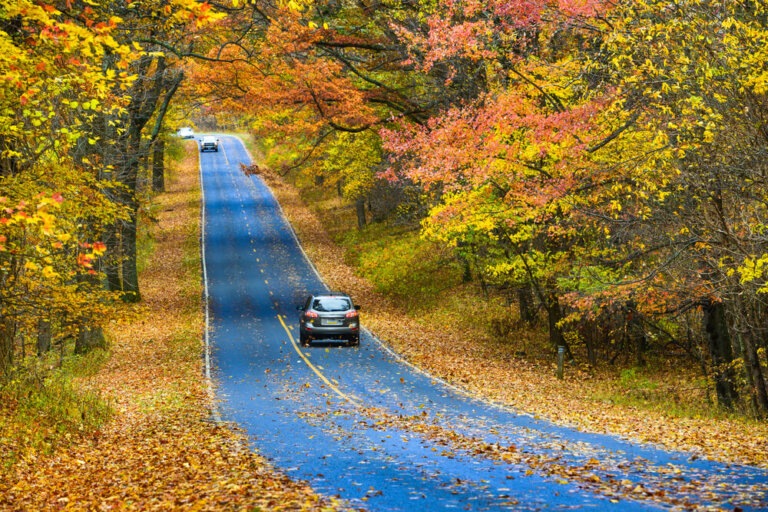 Consejos útiles para hacer un viaje en coche
