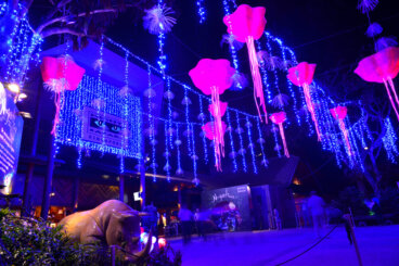 Night Safari, el safari nocturno de Singapur