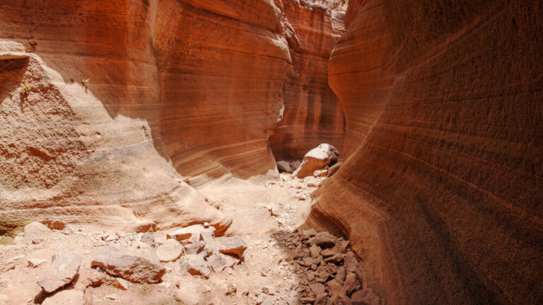 Pasea por el barranco de las Vacas en Gran Canaria