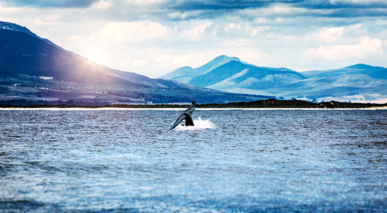 La Reserva Natural de Walker Bay en Sudáfrica