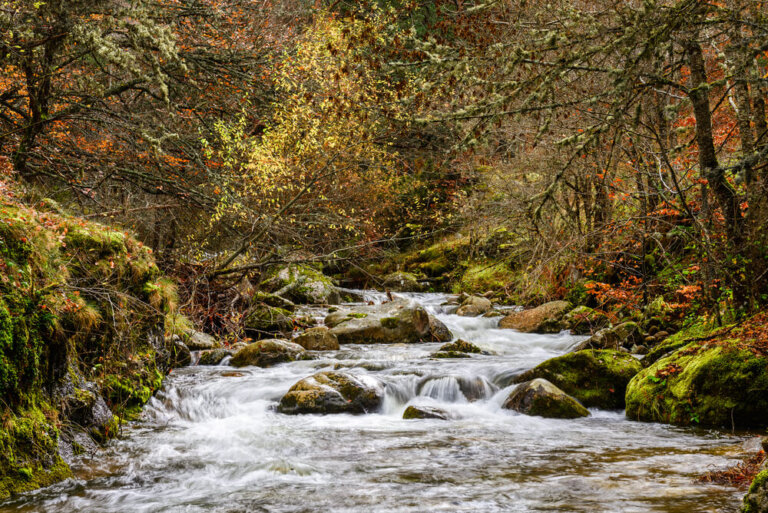 Una visita al Parque Natural Sierra de Cebollera