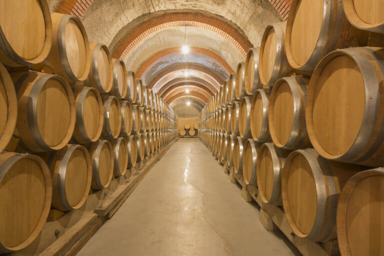 Ribera del Duero: las mejores bodegas de su Milla de Oro