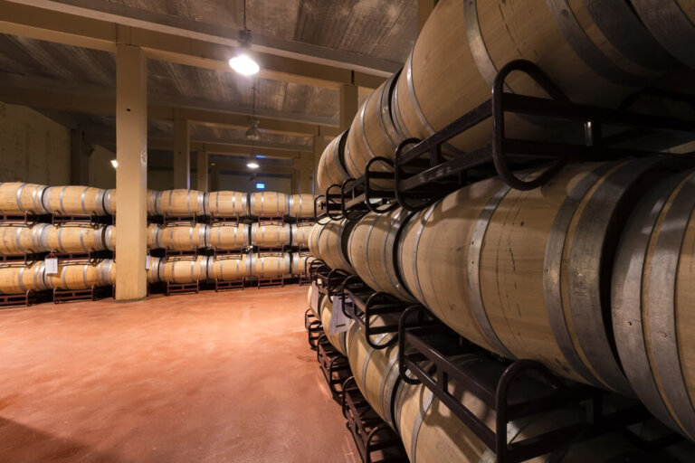 Socuéllamos: enoturismo en Castilla-La Mancha