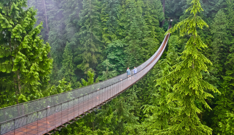 Capilano Suspension Bridge, vive una experiencia de altura