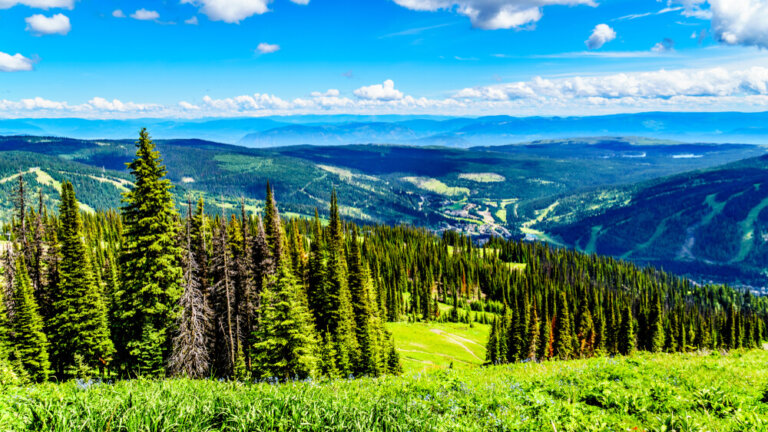 Un recorrido turístico por Enderby y el lago Shuswap