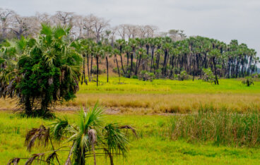 Una excursión al Parque Nacional de Kissama, en Angola