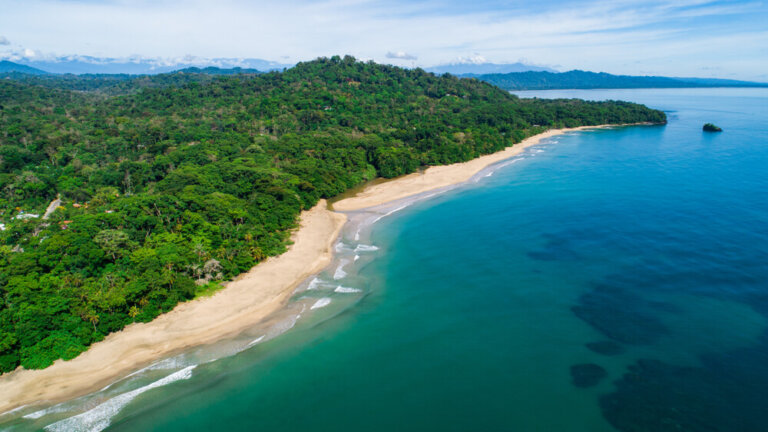 Si te gusta la playa, ve a Puerto Viejo en el Caribe Sur
