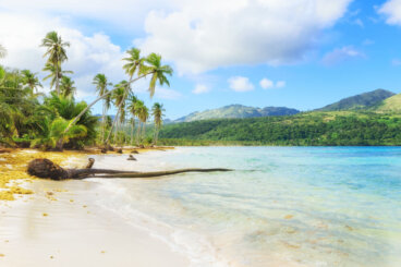 8 razones para viajar a Samaná en República Dominicana