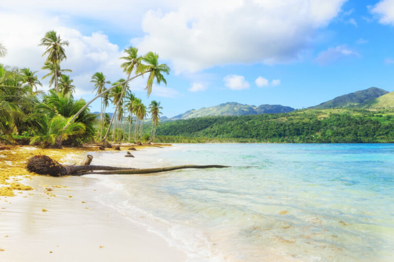 8 razones para viajar a Samaná en República Dominicana