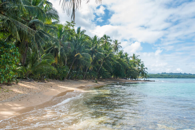 Conoce el Refugio Nacional de Vida Silvestre de Gandoca
