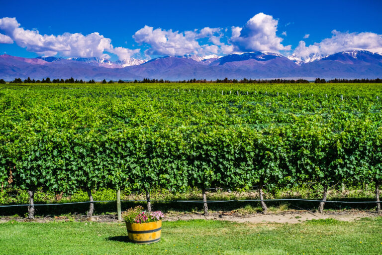 Mendoza en Argentina, un lugar de ensueño