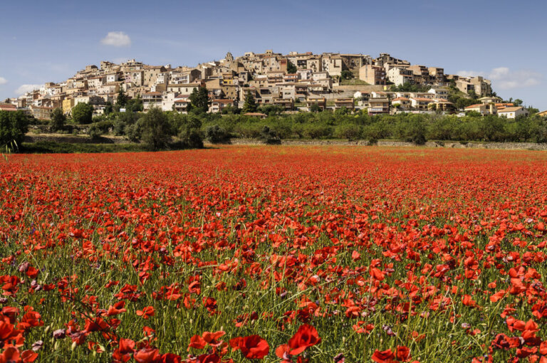 Horta de San Juan, un tesoro en Terres de l’Ebre
