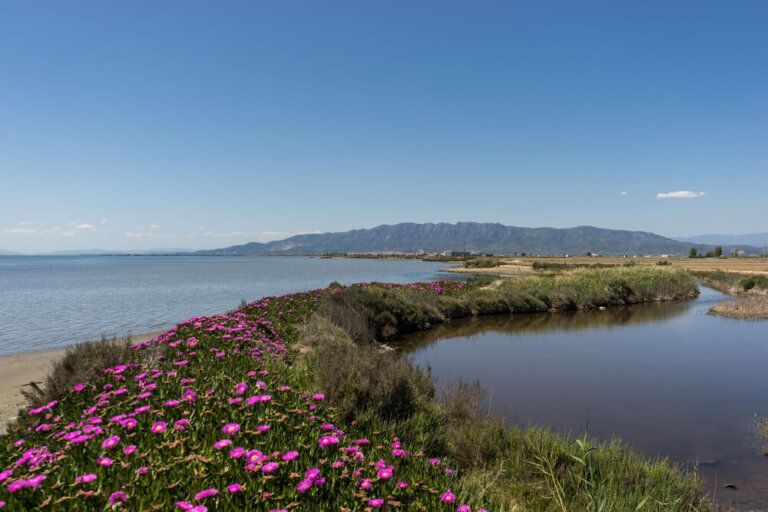 Actividades que puedes realizar en la bahía de los Alfaques