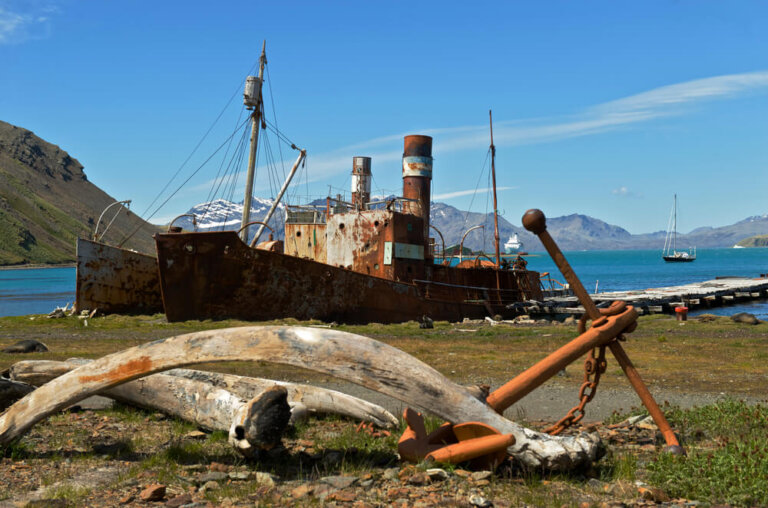 Descubre la estación ballenera abandonada de Grytviken