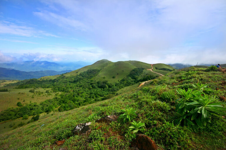 Coorg: descubre todo lo que puedes hacer en esta región india