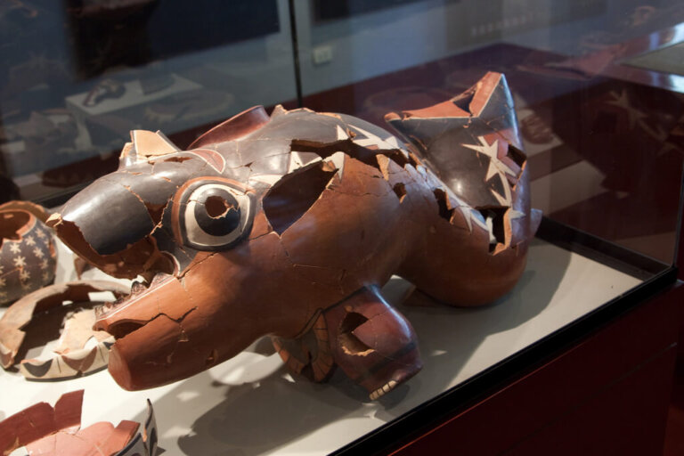 Museo Arqueológico Antonini: acércate a la cultura Nazca