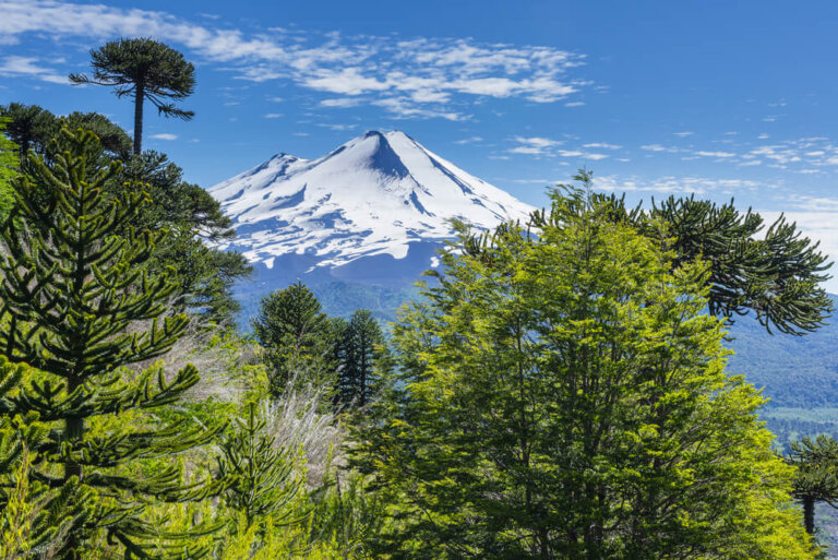 Temuco y el encanto de la región de La Araucanía