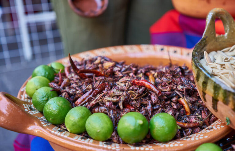 Lugares del mundo donde el menú incluye insectos