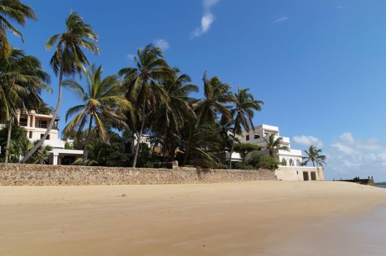 Explora las hermosas playas de la isla de Lamu