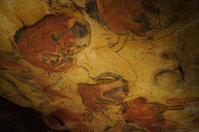 Visita el Museo de Altamira y la Neocueva en Cantabria