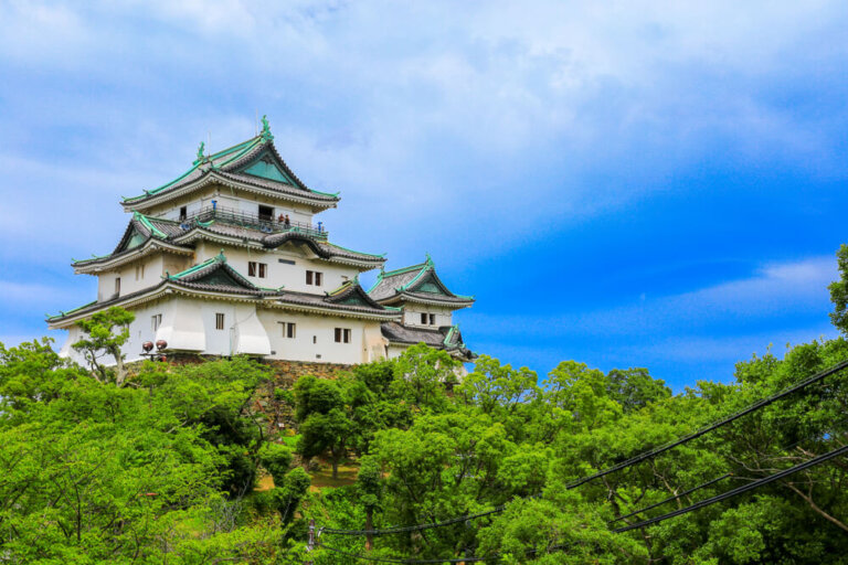 La ciudad de Wakayama: un rincón secreto en Japón