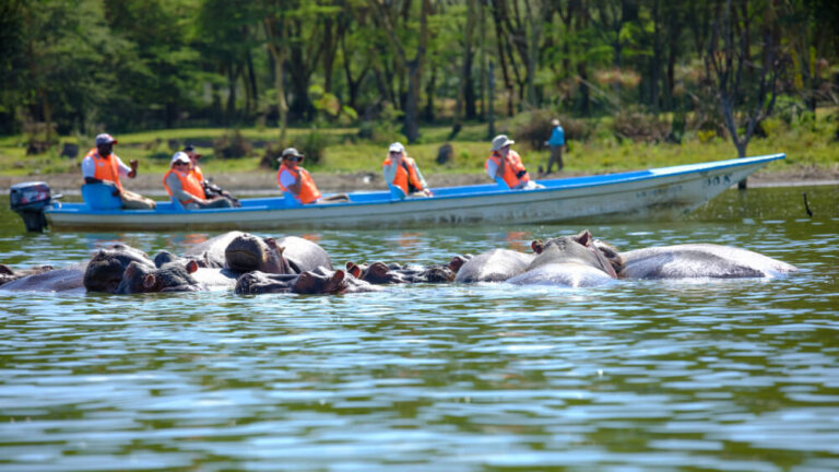 Un paseo en barco por el lago Naivasha en Kenia