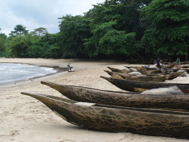Una experiencia entre los pigmeos de Kribi, en Camerún