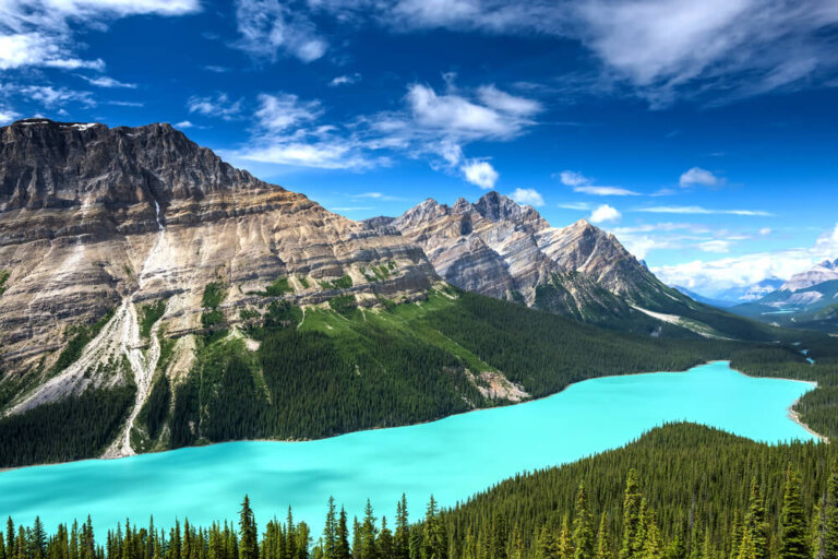 El lago Peyto, unas hermosas vistas de Alberta, en Canadá