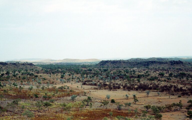 Riversleigh y los mamíferos fósiles australianos
