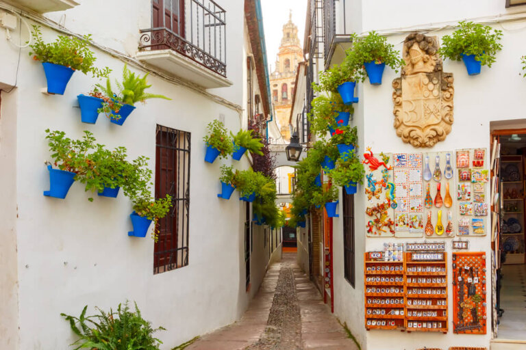 Conoce las calles mas singulares del mundo