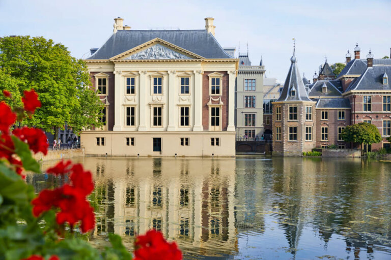 Galería Mauritshuis: 'La joven de la perla' y otras obras maestras