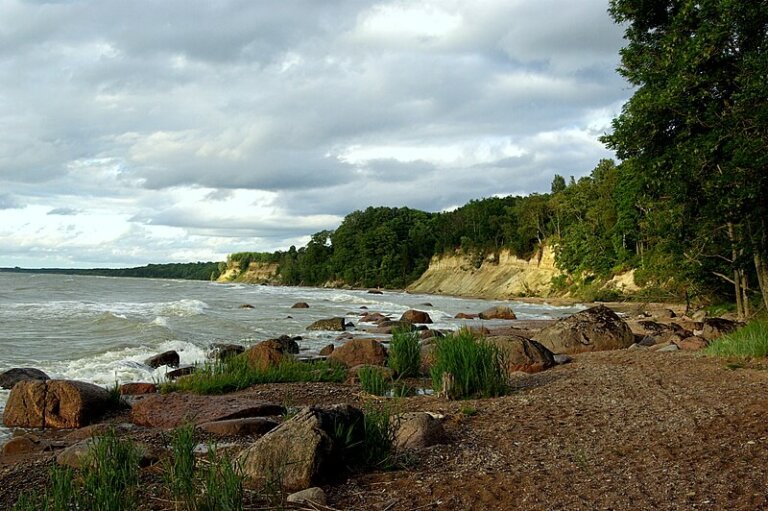 La alucinante belleza de la ensenada de Utría