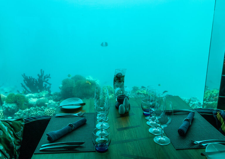 Los 10 restaurantes más extraños del mundo