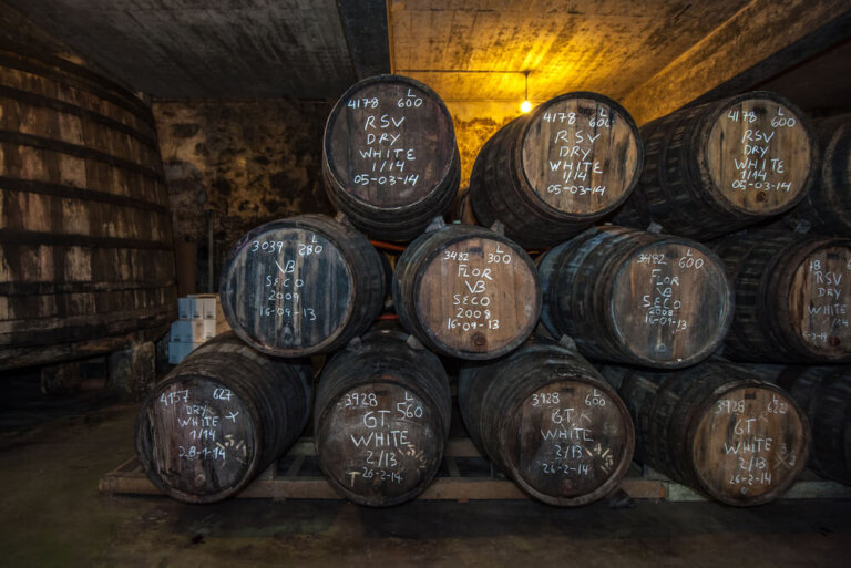 Una ruta por las bodegas de Jerez de la Frontera