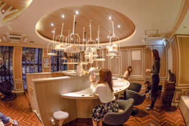 Los cafés de animales domésticos en Tokio