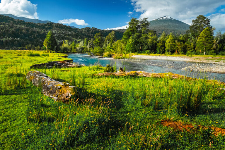 Parque Nacional Hornopirén: conoce un sitio paradisíaco
