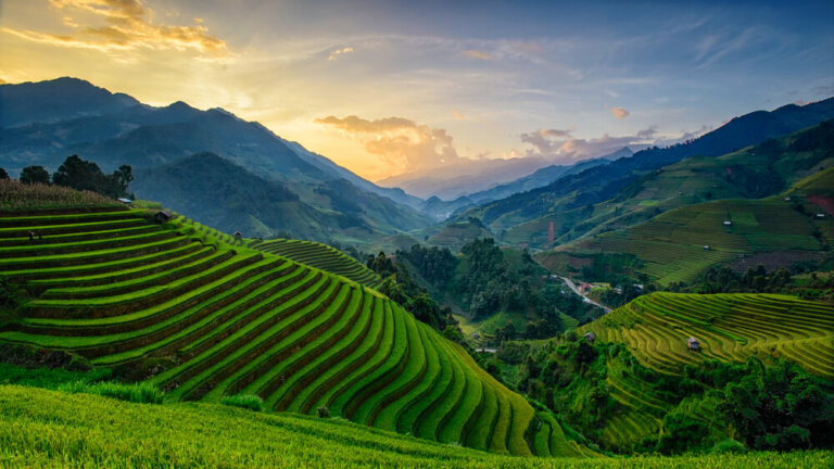 La agricultura tradicional en Asia Oriental