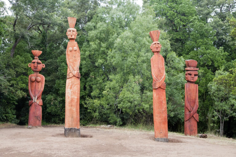 Vive una experiencia mapuche en Chile