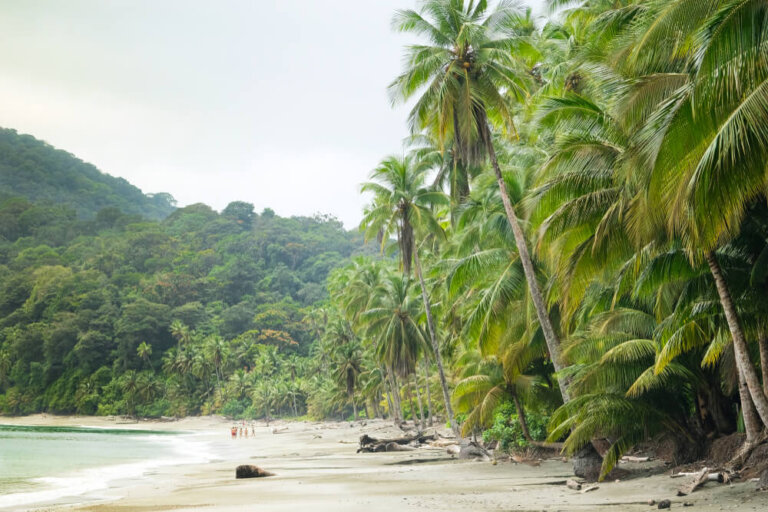 Isla Gorgona en Colombia, de prisión a paraíso